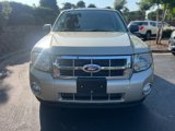 Used 2010 Ford Escape XLT image 3