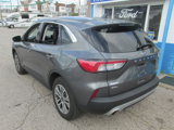 Used 2022 Ford Escape SEL image 6