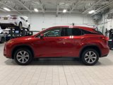 Used 2019 Lexus RX 350 AWD image 4