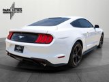 Used 2019 Ford Mustang Coupe image 3