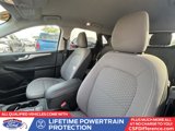 Used 2021 Ford Escape SE image 3
