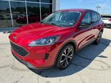 Used 2022 Ford Escape SE w/ SE Sport Appearance Package image 3