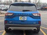 Used 2020 Ford Escape SE image 4