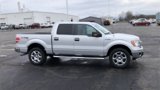 Used 2014 Ford F150 STX image 2