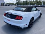 Used 2019 Ford Mustang GT Premium w/ Equipment Group 401A image 5