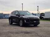 Used 2022 Ford Escape Titanium image 3