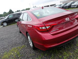 Used 2015 Hyundai Sonata SE w/ Option Group 02 image 5