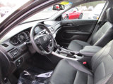 Used 2013 Honda Accord EX-L image 6