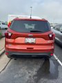 Used 2019 Ford Escape SE image 2