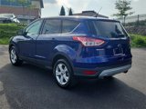 Used 2014 Ford Escape SE image 4