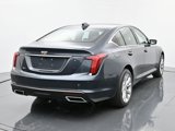 New 2025 Cadillac CT5 Premium Luxury image 5