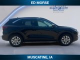 Certified 2024 Ford Escape Active image 6