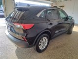 Used 2022 Ford Escape SE w/ Convenience Package image 5