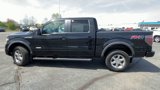 Used 2014 Ford F150 Limited image 6