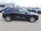 Certified 2022 Ford Escape SE w/ Convenience Package image 6