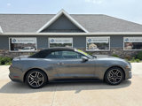 Used 2018 Ford Mustang Premium image 2
