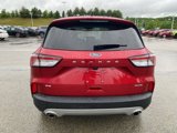 Used 2022 Ford Escape SE w/ Convenience Package image 4