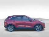 Used 2021 Ford Escape SEL image 4