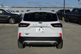 New 2025 Ford Escape Active w/ Tech Pack #1 image 5
