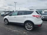 Used 2016 Ford Escape SE w/ SE Chrome Package image 4