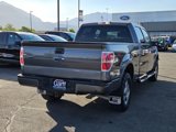 Used 2009 Ford F150 FX4 image 3