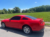 Used 2011 Ford Mustang Coupe w/ 101A Rapid Spec Order Code image 4
