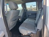 Used 2015 Ford F250 XLT w/ XLT Premium Package image 5