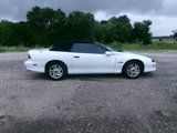 Used 1995 Chevrolet Camaro Z28 image 3