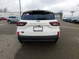 New 2025 Ford Escape ST-Line w/ Tech Pack #1 image 4