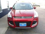 Used 2016 Ford Escape Titanium image 3