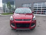 Used 2014 Ford Escape Titanium w/ Equipment Group 401A image 2