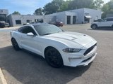 Used 2019 Ford Mustang Coupe w/ Equipment Group 101A image 2