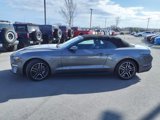 Certified 2022 Ford Mustang Premium image 6