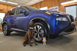 Used 2023 Nissan Rogue SV w/ SV Premium B Package image 2