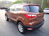 Used 2020 Ford EcoSport SE image 5