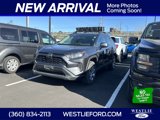 Used 2019 Toyota RAV4 LE image 3