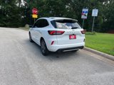 Used 2024 Ford Escape ST-Line w/ Tech Pack #1 image 5
