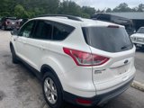 Used 2015 Ford Escape SE w/ Equipment Group 201A image 3