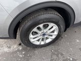 Used 2022 Ford Escape SE w/ Cold Weather Package image 4