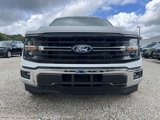 New 2025 Ford F150 XLT w/ Equipment Group 301A Standard image 3