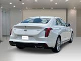 Used 2023 Cadillac CT4 Premium Luxury image 4