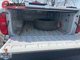 Used 2022 Chevrolet Colorado LT w/ Fleet Safety Package image 5