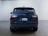 Used 2021 Ford Escape SEL w/ SEL Stealth AWD Package image 4