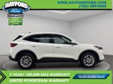Used 2020 Ford Escape SE image 6