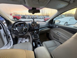 Used 2014 Ford Escape Titanium image 5
