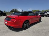 Used 2023 Ford Mustang Premium image 4