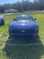 Used 2016 Ford Mustang Coupe w/ Equipment Group 051A image 2