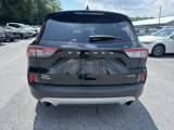 Used 2020 Ford Escape SEL image 4