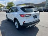 Certified 2022 Ford Escape SE image 5