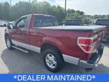 Used 2013 Ford F150 XLT w/ Mid Equipment Group image 6